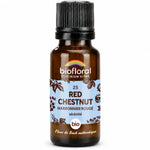 Flacon compte-gouttes en verre ambré avec étiquette bleu clair, fleur de Bach Red Chestnut Marronnier rouge bio Biofloral en granules