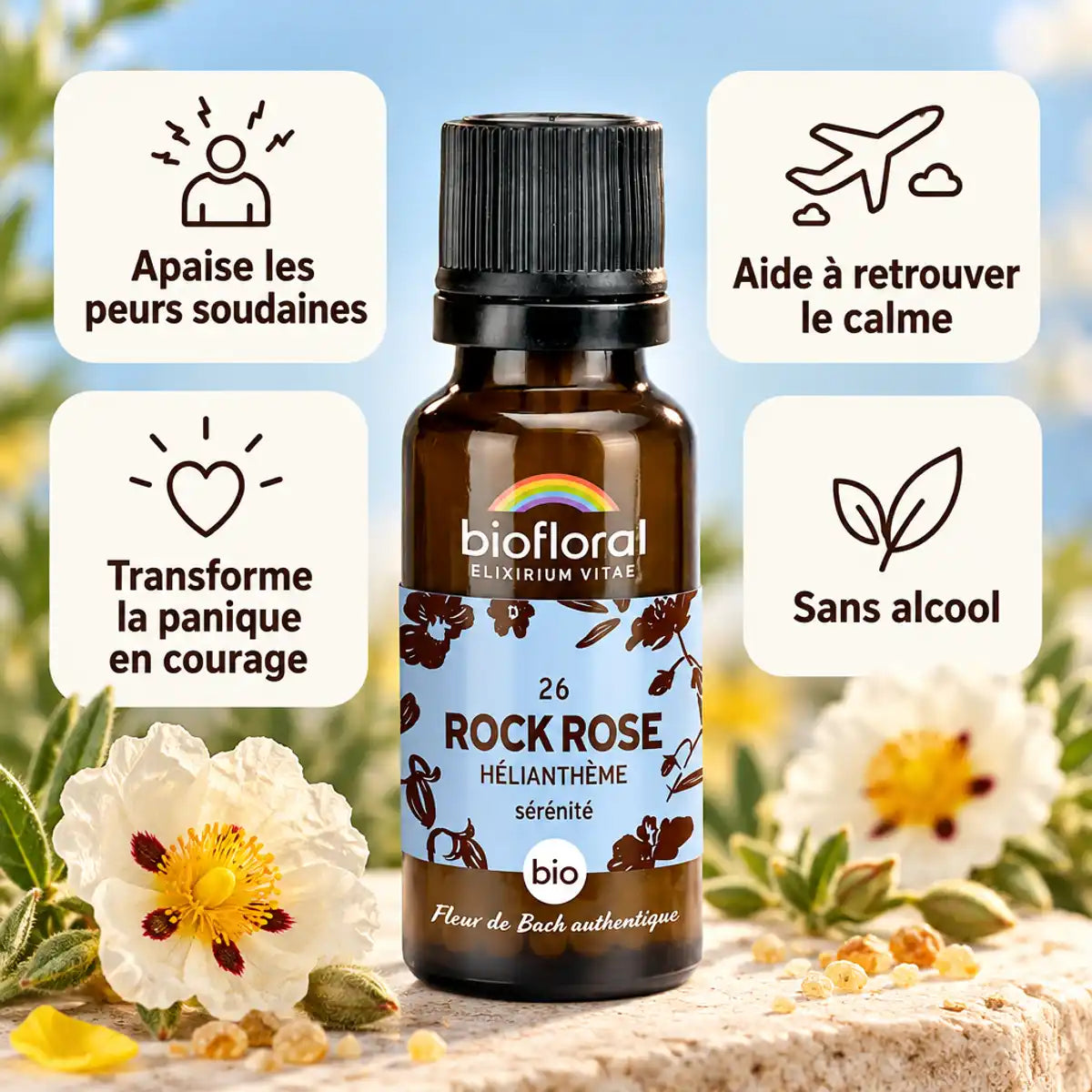 Fleur de Bach Rock Rose Hélianthème Bio en granules 19,5 g Biofloral : flacon ambré et cartes de bienfaits sur fond bleu ciel