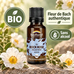 Flacon en verre ambré de Fleur de Bach Rock Rose (Hélianthème) Bio Biofloral en granules, entouré de fleurs d'hélianthème