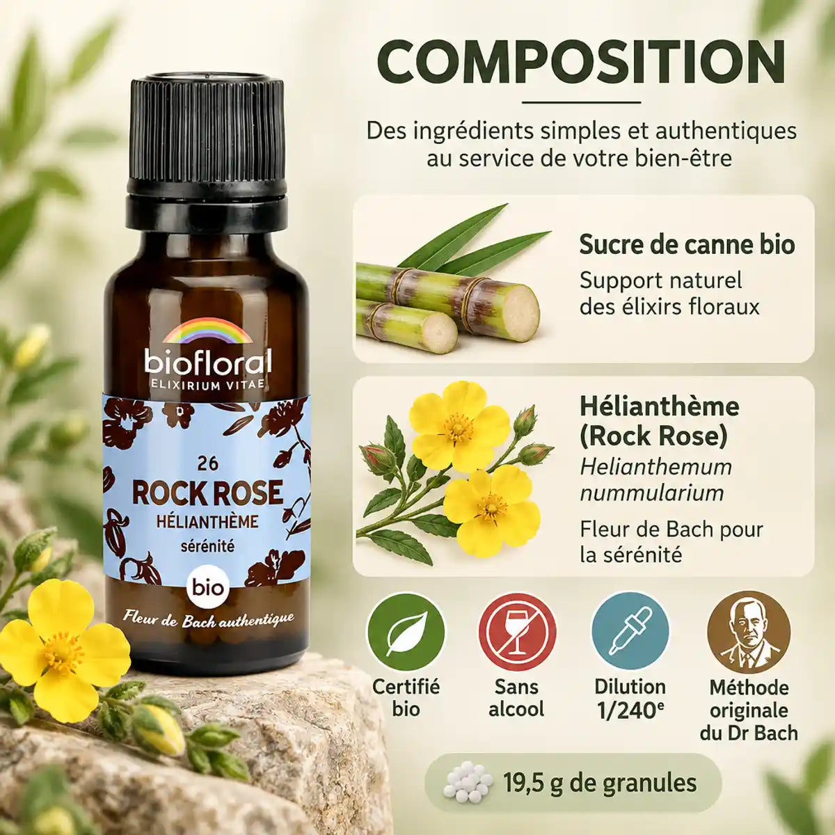 Fleur de Bach Rock Rose Biofloral bio en granules 19,5 g, flacon ambré et composition : sucre de canne et hélianthème