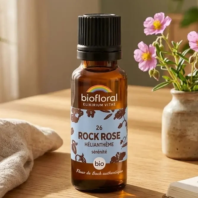 Flacon en verre ambré de Fleur de Bach Rock Rose (Hélianthème) Bio en granules, sur une table en chêne avec des fleurs roses sauvages