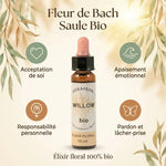 Fleur de Bach Saule Bio 10ml avec bénéfices : acceptation, apaisement, responsabilité et pardon