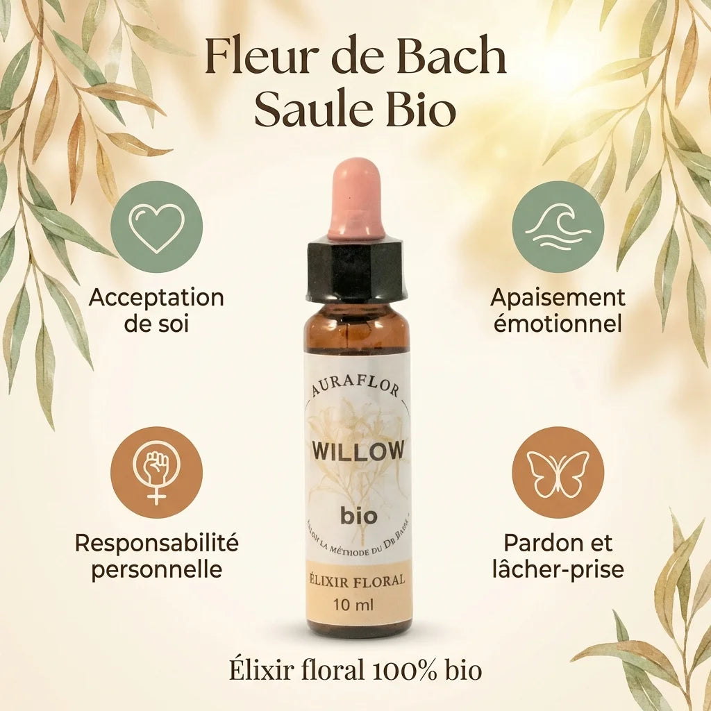 Fleur de Bach Saule Bio 10ml avec bénéfices : acceptation, apaisement, responsabilité et pardon