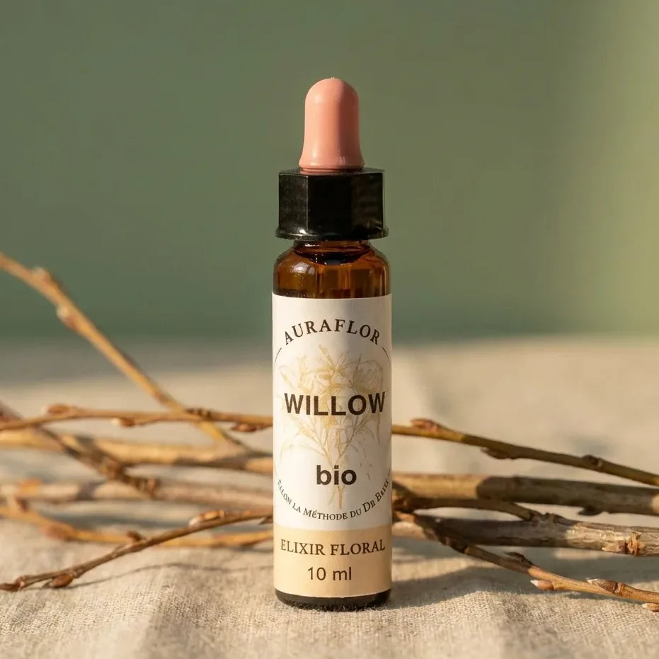 Fleur de Bach Saule Bio 10ml Dioter en flacon verre ambré avec compte-gouttes
