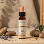Fleur de Bach Scléranthe Bio 10 ml Dioter bouteille avec pipette ambre