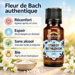 Fleur de Bach Étoile de Bethléem Biofloral en granules 19,5 g : flacon ambré, granules de sucre et fleurs blanches sur fond bleu ciel
