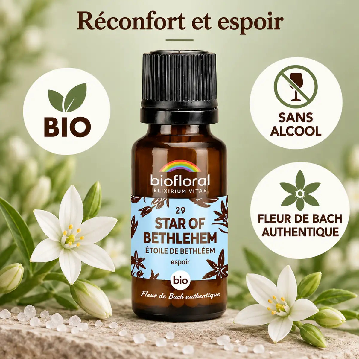 Flacon Biofloral Fleur de Bach Étoile de Bethléem bio en granules 19,5 g, sur fond sauge avec fleurs blanches