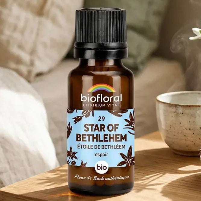 Flacon compte-gouttes ambré de Fleur de Bach Étoile de Bethléem Biofloral sur table de chevet en bois, lumière douce