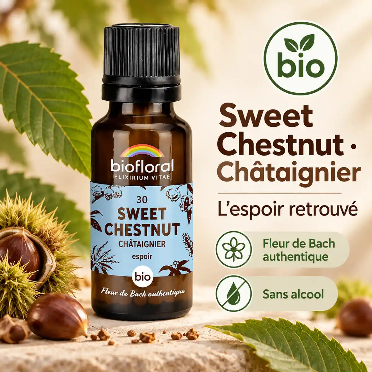 Flacon de Fleur de Bach Sweet Chestnut (Châtaignier) Bio Biofloral, granules et feuilles de châtaignier sur fond beige, badge bio