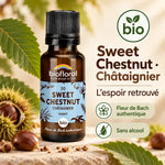 Flacon de Fleur de Bach Sweet Chestnut (Châtaignier) Bio Biofloral, granules et feuilles de châtaignier sur fond beige, badge bio