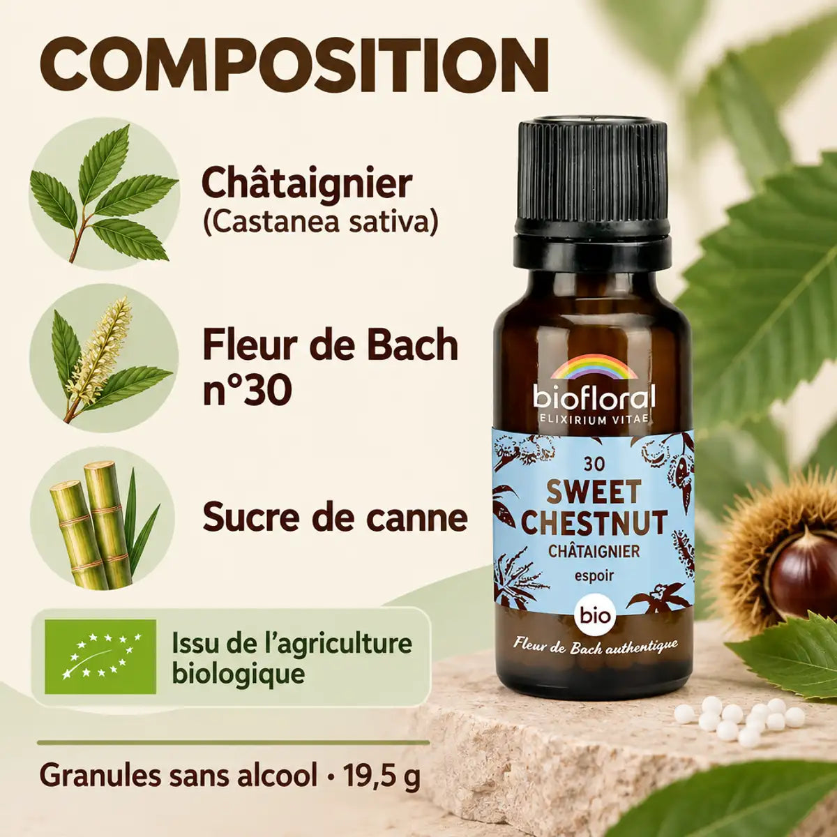Flacon Biofloral Fleur de Bach Sweet Chestnut (châtaignier) bio en granules, 19,5 g, avec infographie de composition