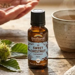 Fleur de Bach Sweet Chestnut (Châtaignier) bio en granules, flacon ambré sur table en bois avec tisane