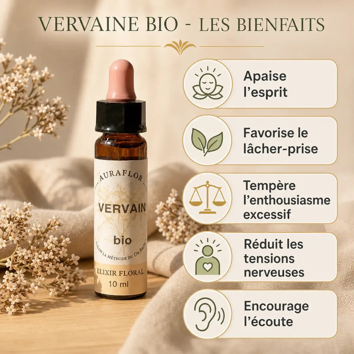 Fleur de Bach Vervaine bio 10ml Dioter avec ses 5 bienfaits : apaise l'esprit et favorise le lâcher-prise