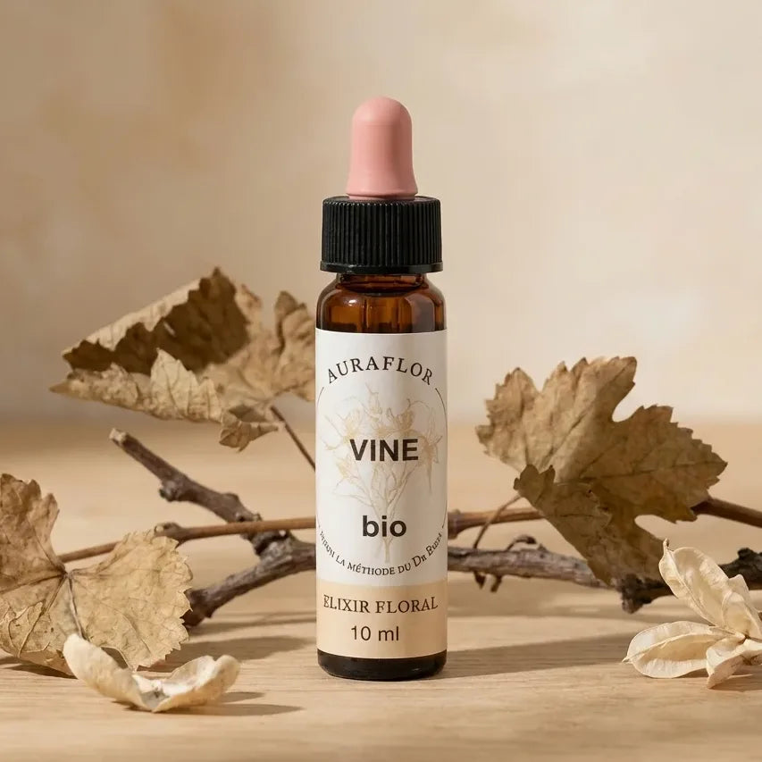 Fleur de Bach vigne bio 10 ml Dioter en flacon verre ambré avec pipette noire