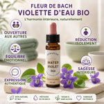 Fleur de Bach Violette d'eau Bio 10ml - Bouteille avec bénéfices émotionnels et fleurs violettes