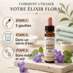 Fleur de Bach Violette d'eau bio 10ml avec mode d'emploi et fleurs violettes sur fond spa
