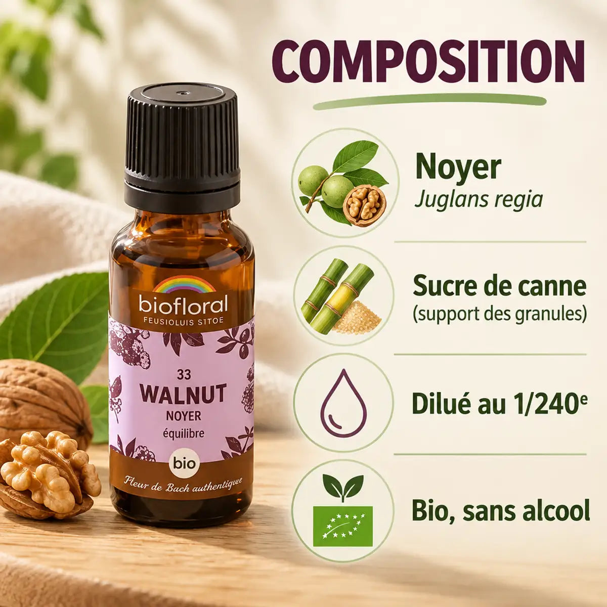 Fleur de Bach Walnut (Noyer) Biofloral en granules : flacon, étiquette et infographie sur la composition, Juglans regia, bio