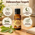 Fleur de Bach White Chestnut Bio Biofloral en granules : flacon ambré, feuille de marronnier blanc et badges sur le sommeil et la concentration