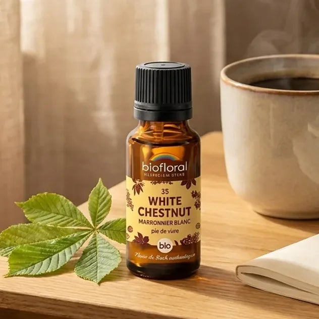 Fleur de Bach White Chestnut Bio en granules Biofloral, flacon ambre sur table en bois avec café et feuilles de marronnier