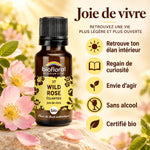 Fleur de Bach Églantier Bio Biofloral en granules 19,5 g : flacon ambré, étiquette jaune et bénéfices joie de vivre