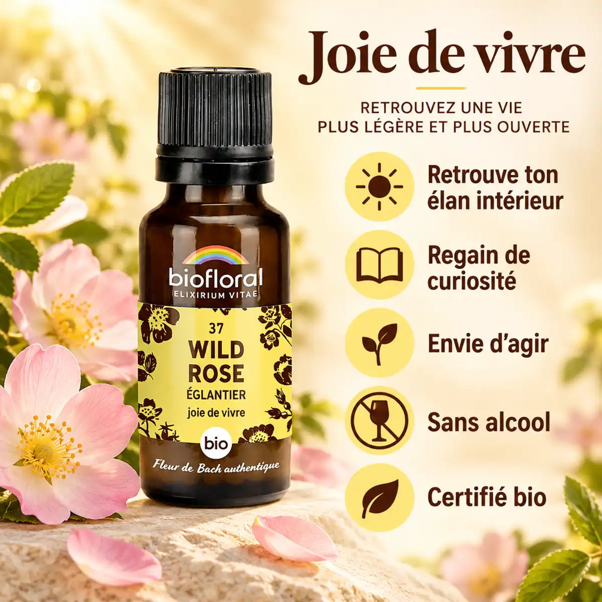 Fleur de Bach Églantier Bio Biofloral en granules 19,5 g : flacon ambré, étiquette jaune et bénéfices joie de vivre
