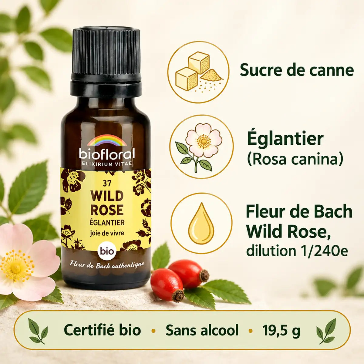 Fleur de Bach Wild Rose (Églantier) Bio en granules 19,5 g Biofloral : flacon ambré, étiquette jaune et mentions bio