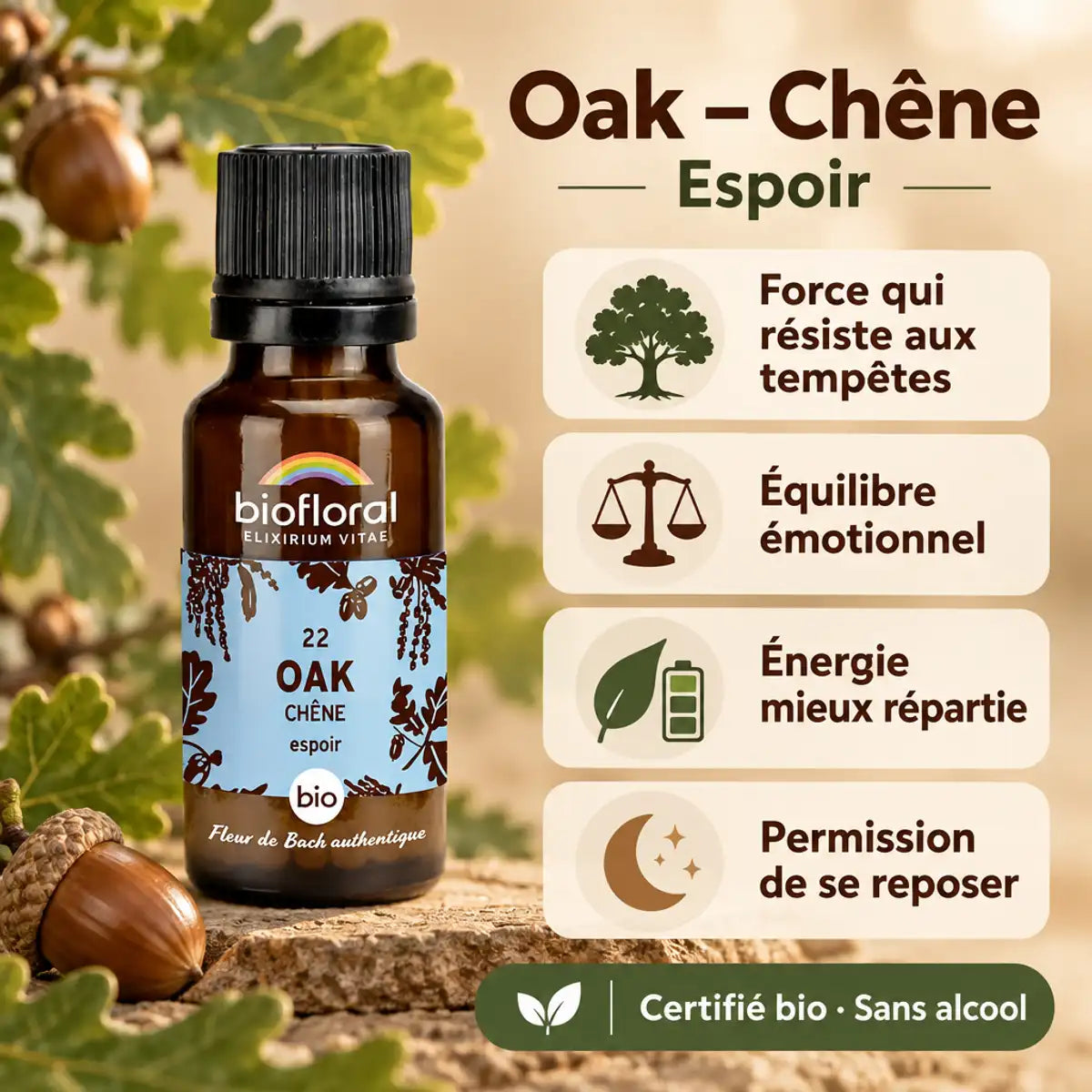 Flacon Fleurs de Bach Oak (Chêne) Bio en granules Biofloral, avec quatre cartes de bienfaits sur fond beige sable et feuilles de chêne