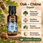 Flacon Fleurs de Bach Oak (Chêne) Bio en granules Biofloral, avec quatre cartes de bienfaits sur fond beige sable et feuilles de chêne