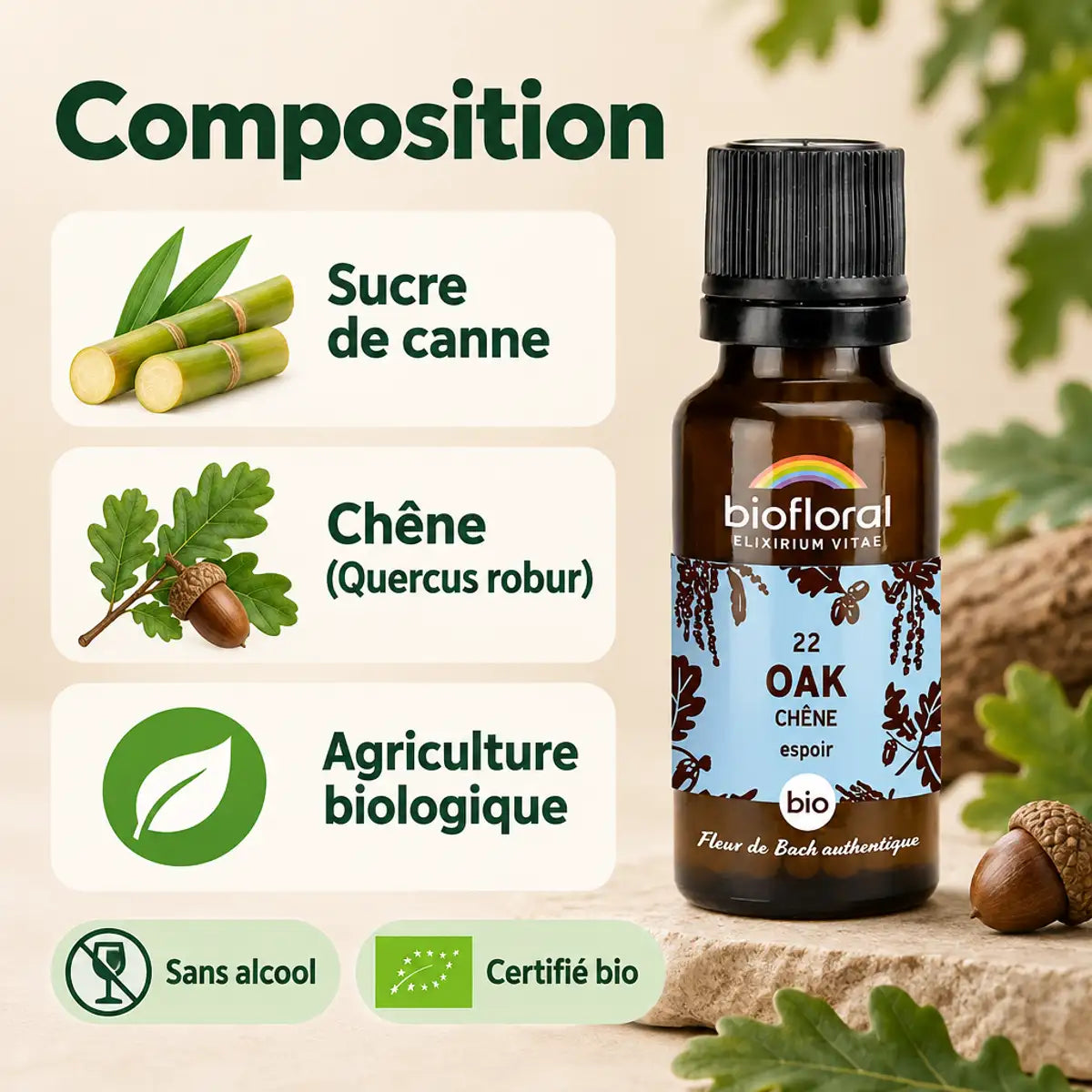 Flacon de Fleurs de Bach Chêne (Oak) bio en granules Biofloral, avec infographie sur le sucre de canne, le chêne et l'agriculture biologique