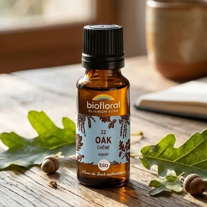 Flacon en verre ambré de fleurs de Bach Chêne (Oak) bio en granules, étiquette bleue ornée de feuilles et glands, sur table en bois