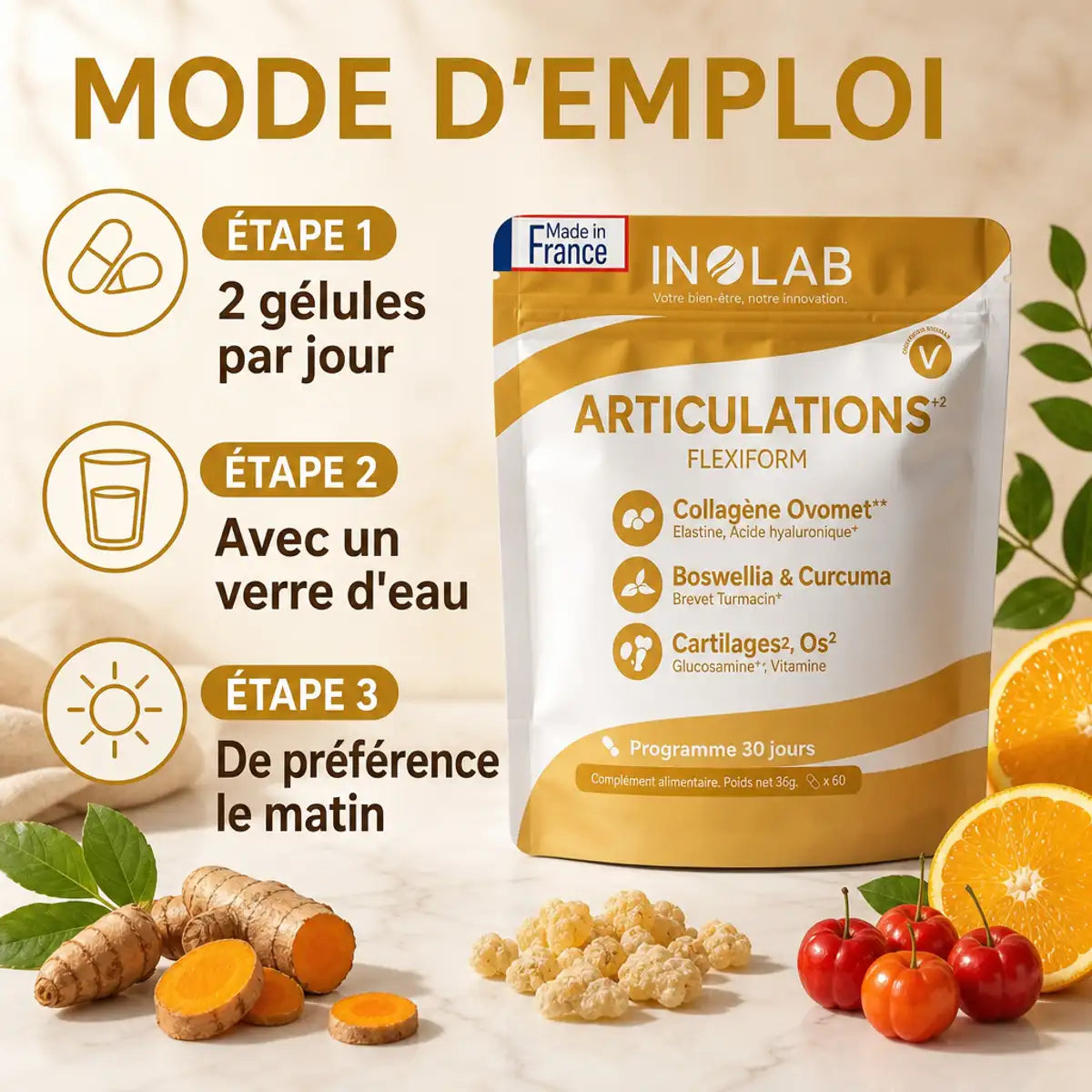 Flexiform Inolab complexe articulations 60 gélules avec mode d'emploi et ingrédients naturels