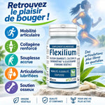 Flexilium 60 gélules LT Labo - Mobilité articulaire, collagène renforcé et souplesse accrue
