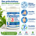 Flexilium Gel 250ml silicium organique avec infographies articulations et flexibilité articulaire