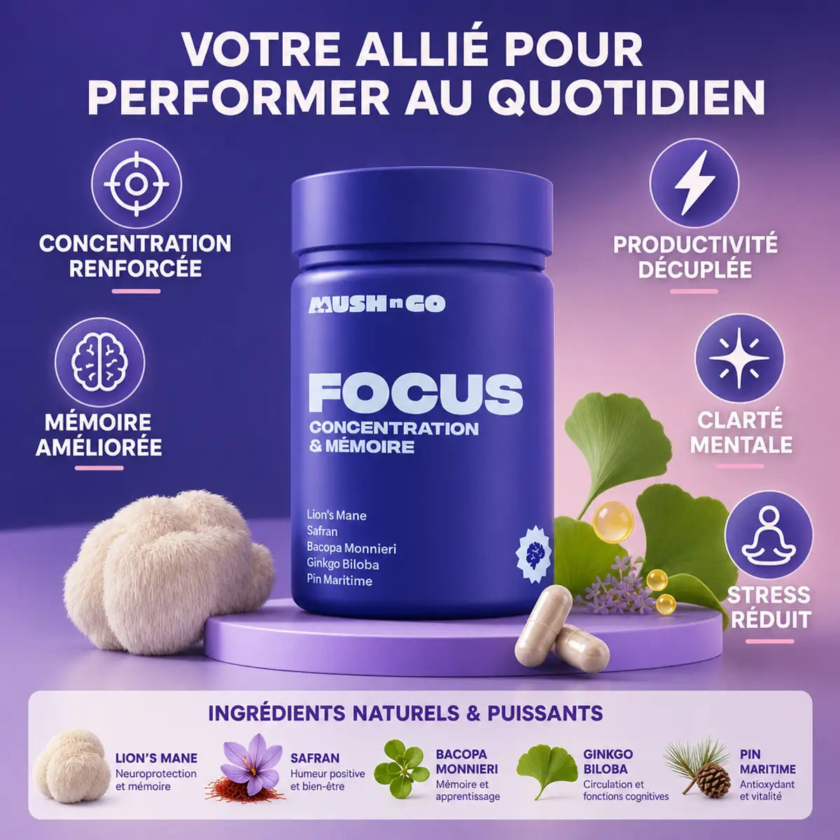 MushnGo Focus supplément nootropique - Concentration, Mémoire, Productivité avec ingrédients naturels