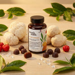 Gummies FOCUS Lion's Mane French Mush avec ingrédients naturels en mise en scène studio