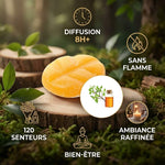 Fondant de cire parfumé Musc Bois frais Scentships avec infographie avantages diffusion sans flamme