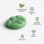 Fondant cire parfumé Patchouli Thym Scentships - Diffusion 8h, sans fumée, aromathérapie naturelle