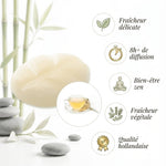 Fondant de cire parfumé thé blanc Scentships avec bénéfices - fraîcheur, diffusion 8h+, bien-être zen