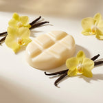 Fondant de cire parfumé Vanille Scentships avec fleurs et gousses de vanille sur fond blanc