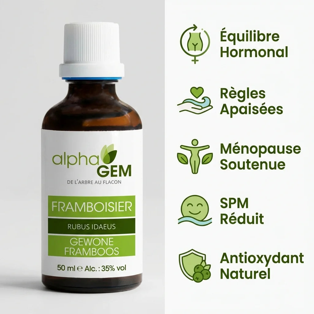 Framboisier Bio Alphagem 50ml - Équilibre hormonal et bien-être féminin