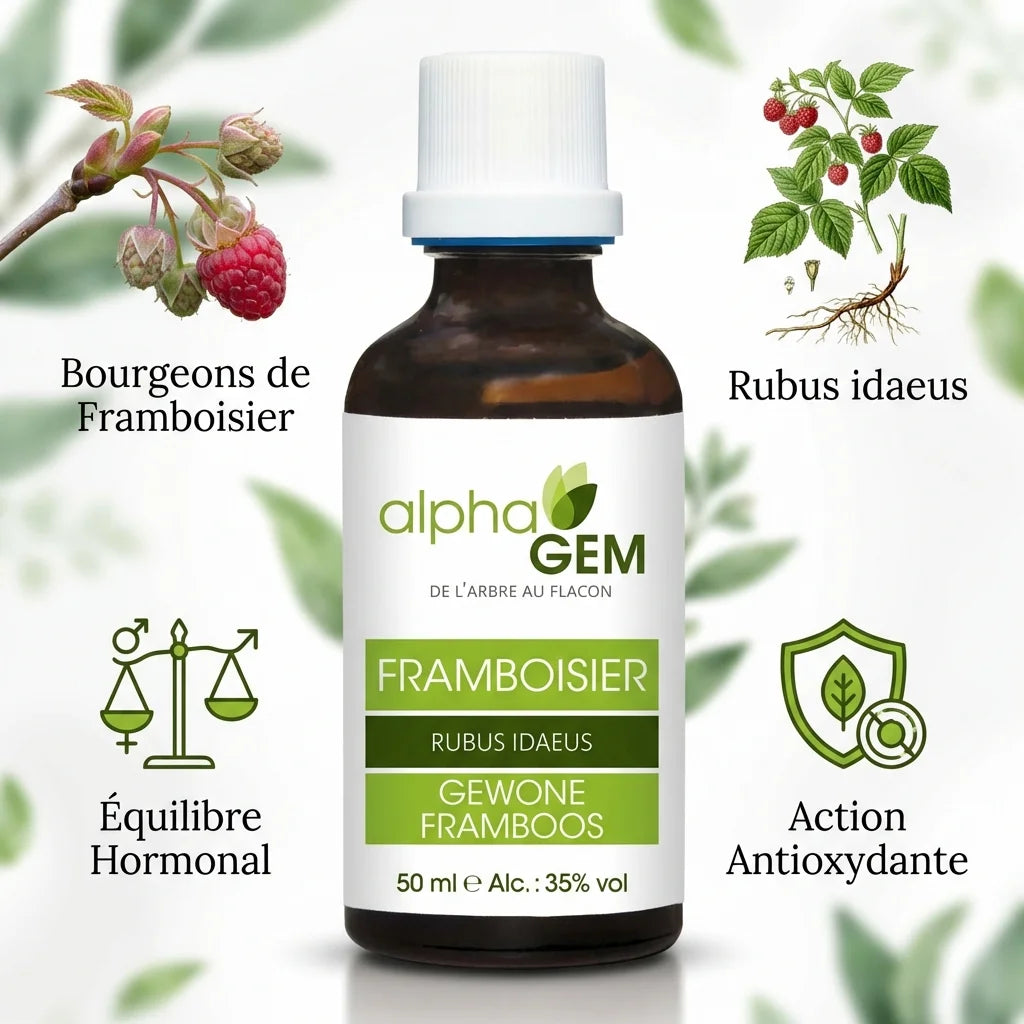Framboisier Bio 50ml Alphagem - Bourgeons équilibre hormonal antioxydant naturel