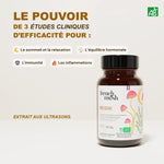 Efficacité du Reishi de la marque French Mush