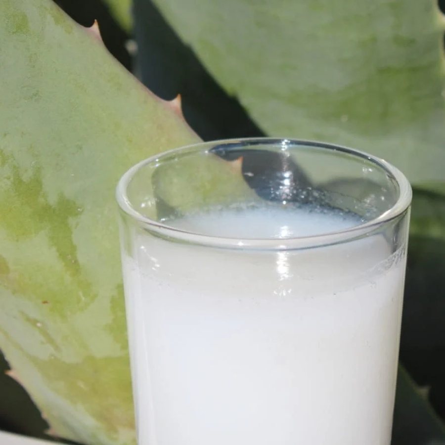 Le gel à l'aloé vera 500ml non pasteurisé de Naturaloé dans un verre