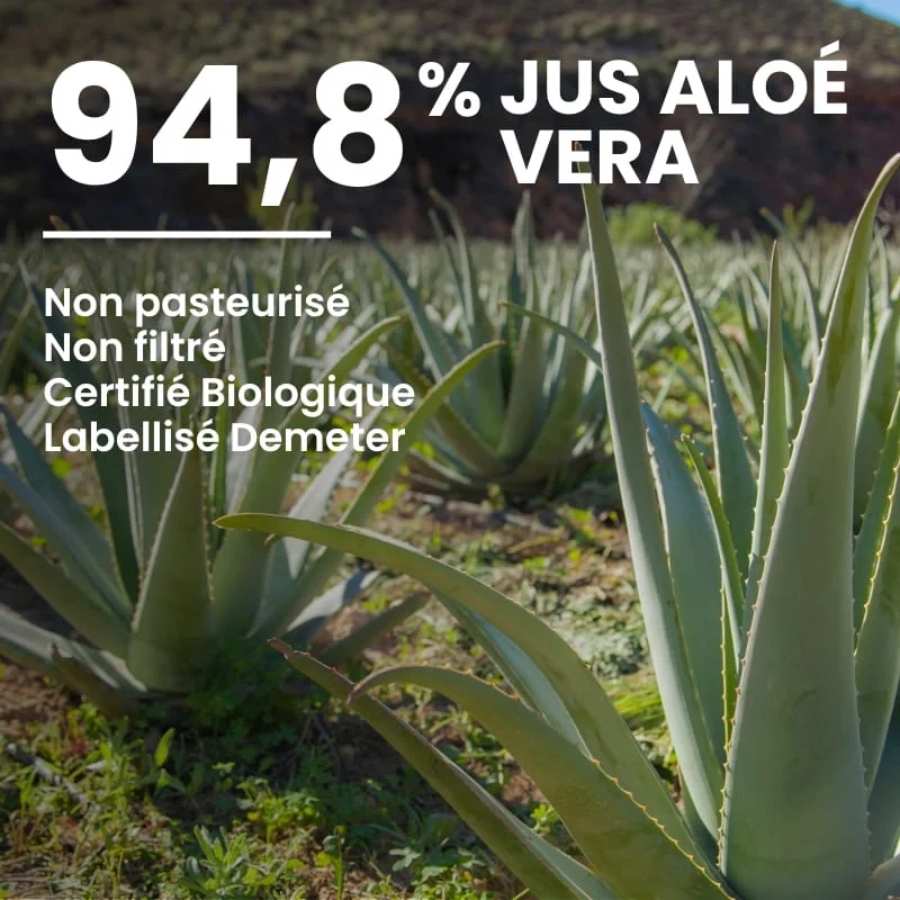 Pourcentage précis de jus d'aloé vera dans le gel à l'aloé vera 500ml non pasteurisé de Naturaloé