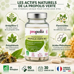 Gélules propolis verte bio Propolia 90 capsules avec ingrédients actifs et certifications AB