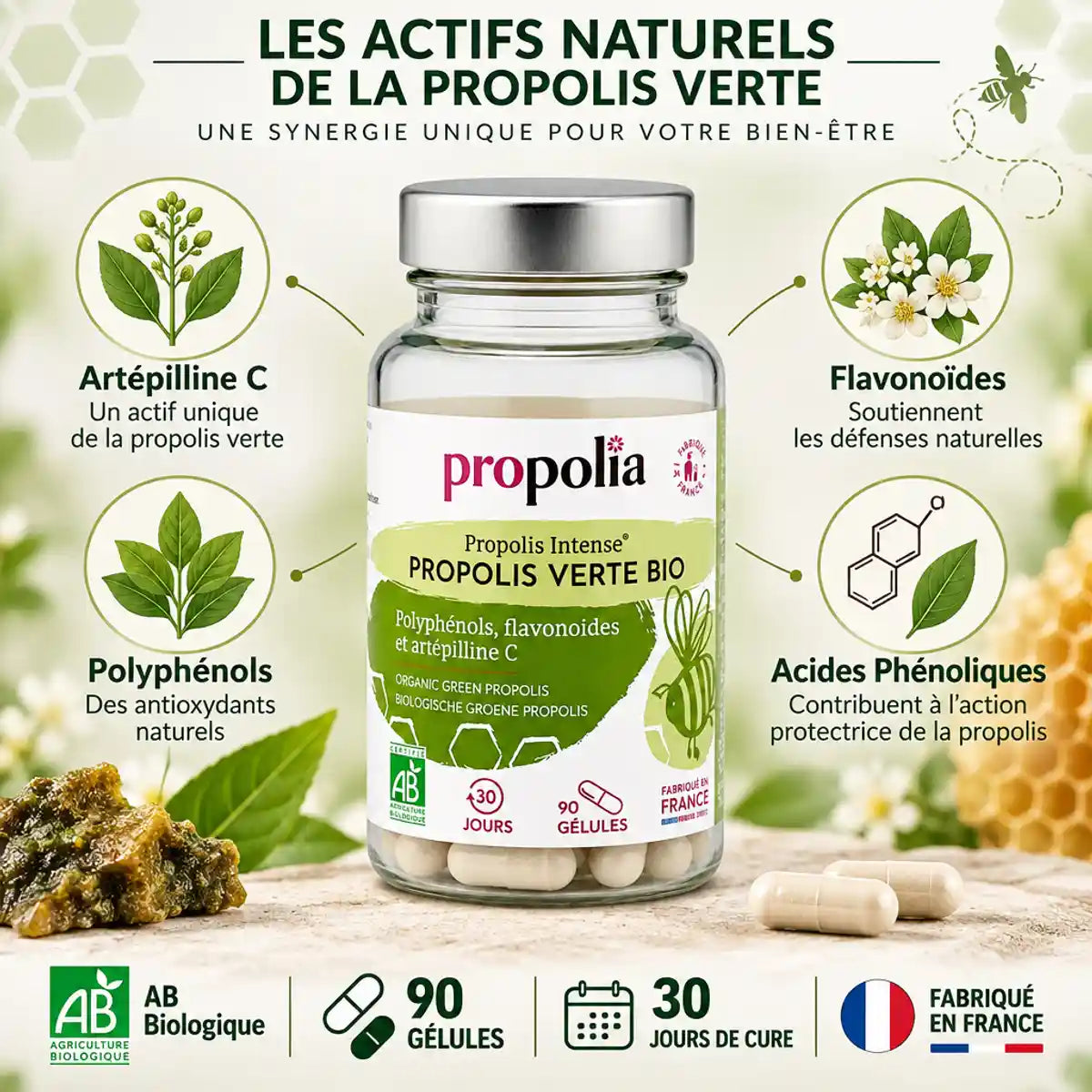 Gélules propolis verte bio Propolia 90 capsules avec ingrédients actifs et certifications AB