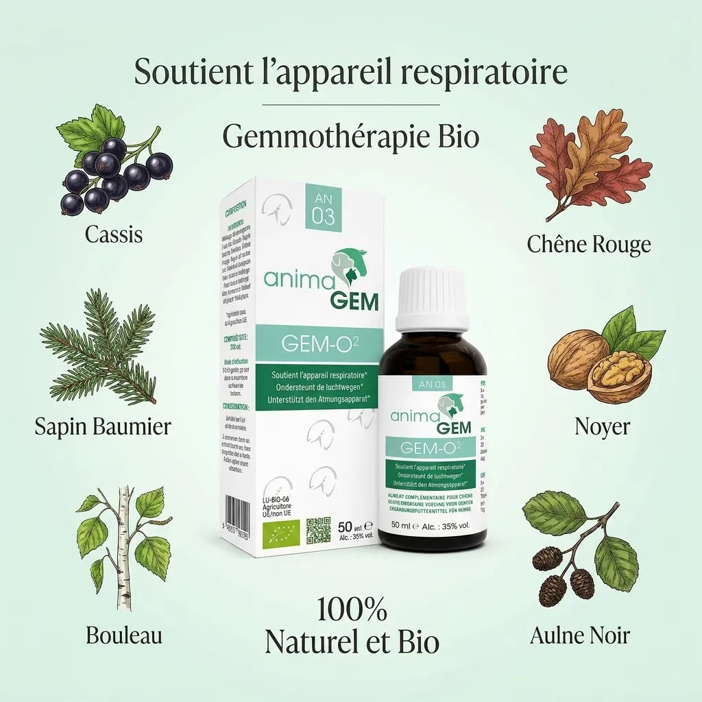 Gem-02 ANIMAGEM 15ml - Gemmothérapie bio pour appareil respiratoire avec ingrédients botaniques naturels