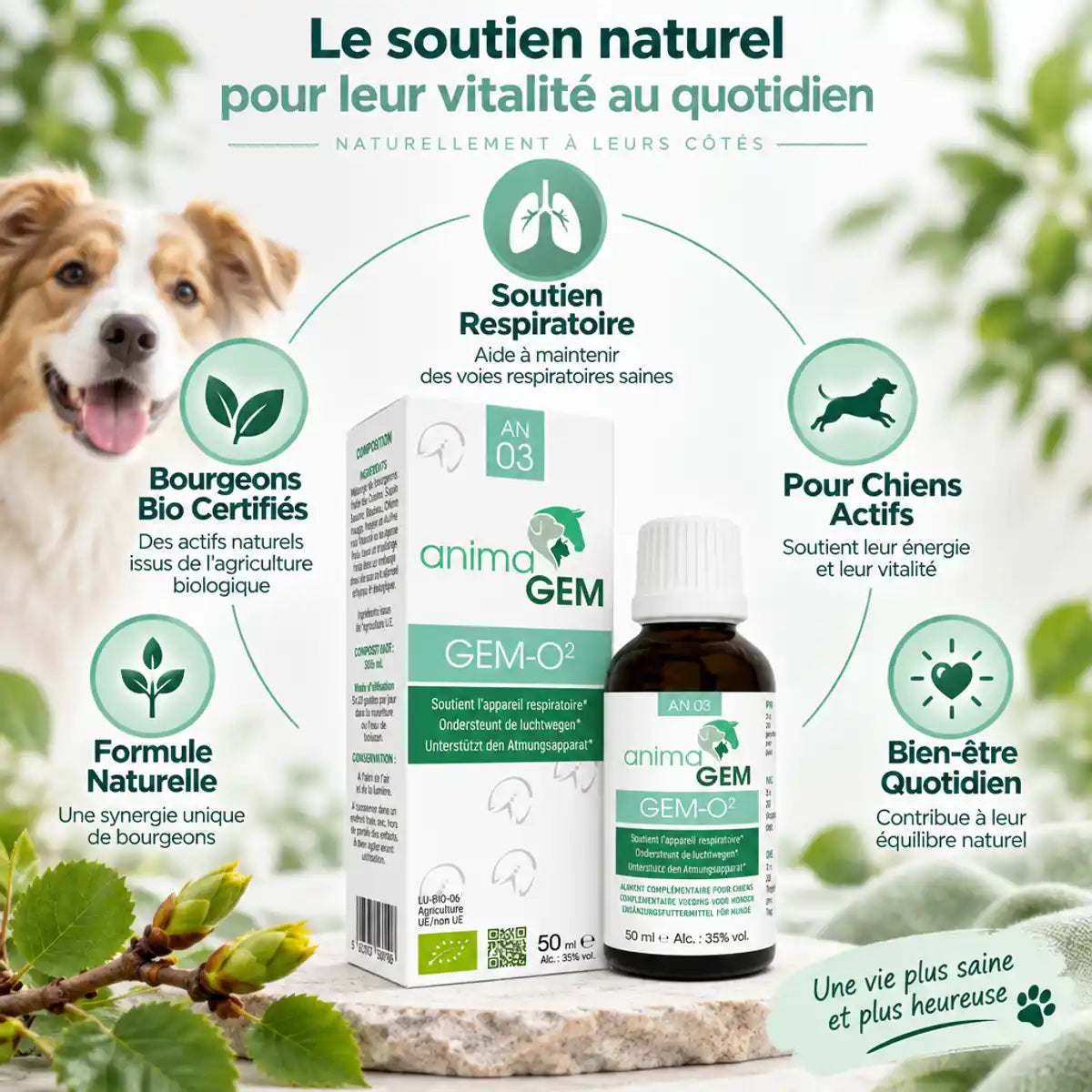 Gem-02 AnimaGEM soutien respiratoire 15ml avec bourgeons bio certifiés pour chiens actifs