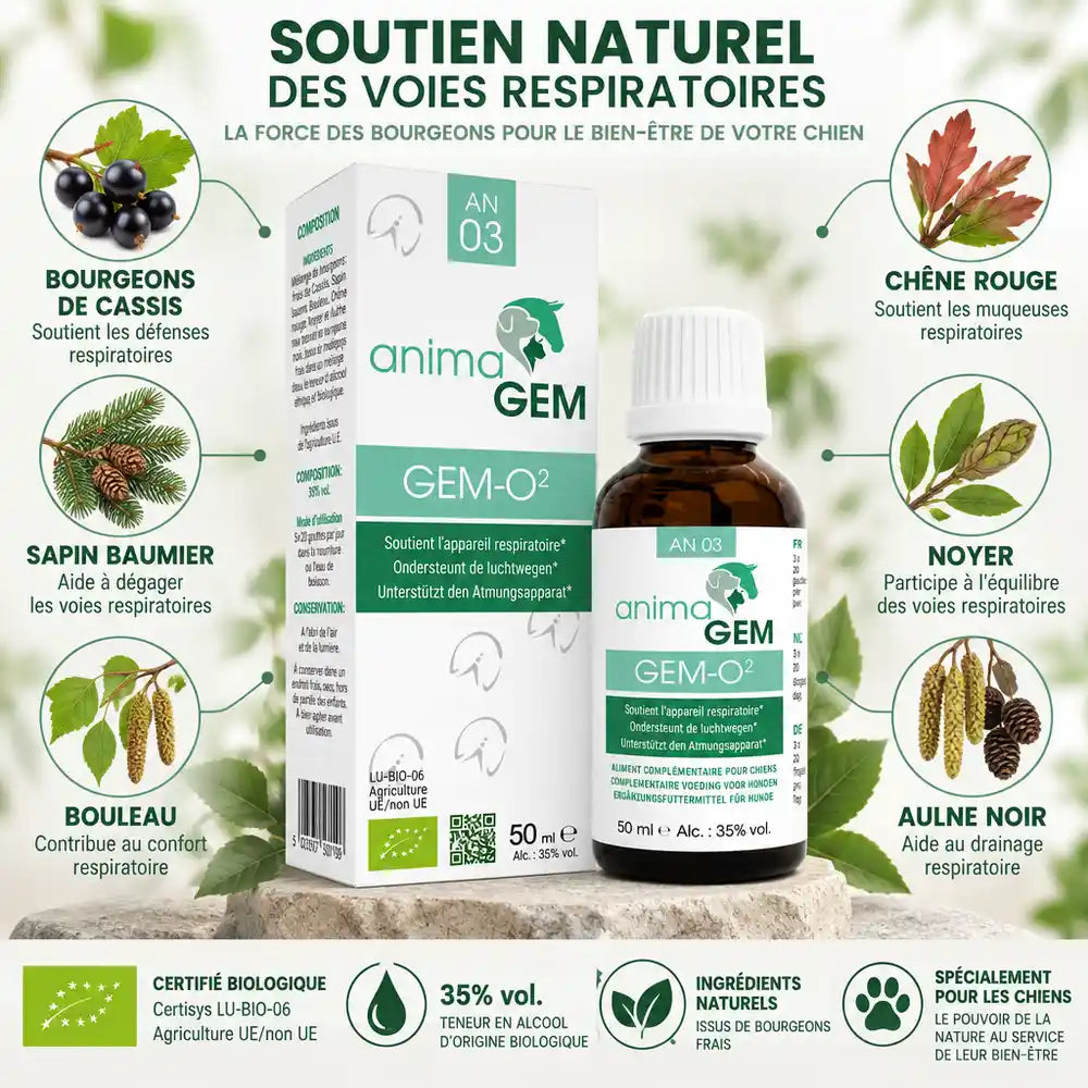 AnimaGEM Gem-O² 50ml flacon soutien respiratoire avec ingrédients botaniques certifiés bio