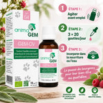 Gem-OV AnimaGEM 15ml équilibre hormonal avec mode d'emploi infographie étapes utilisation